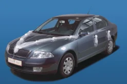 Häät|Häät>PartyDeco sp. z o.o. sp. k., ul. Kolumba 1, 70-035 Szczecin, www.partydeco.com Autonkoriste, 2 kpl organzaköynnöstä satiinikukkasin