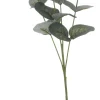 Kesätuotteet|Kesätuotteet>Koopman International B.V., Distelweg 88, 1031 HH AMSTERDAM, www.koopmanint.com Koriste-eukalyptus 70 cm