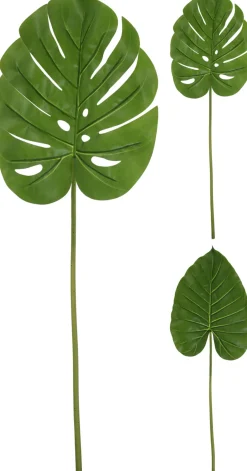 Kesätuotteet|Kesätuotteet>Koopman International B.V., Distelweg 88, 1031 HH AMSTERDAM, www.koopmanint.com Koristepeikonlehti 84 cm
