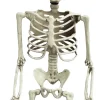 Eläimet, Hahmot Ja Ötökät|Halloween>Toyrock Oy, Lemminkäisenkatu 46, 20520 TURKU, www.toyrock.fi Luuranko 56 cm