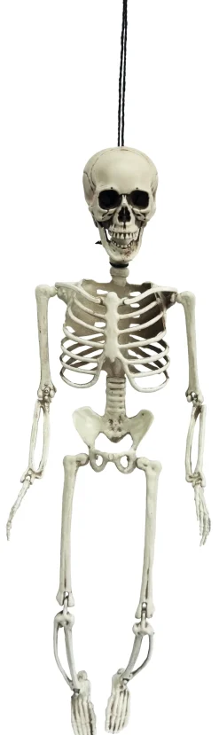 Eläimet, Hahmot Ja Ötökät|Halloween>Toyrock Oy, Lemminkäisenkatu 46, 20520 TURKU, www.toyrock.fi Luuranko 56 cm