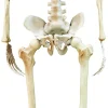 Ripustettavat Hahmot|Muut Ripustettavat Koristeet>IV Beck / Amscan Europe GmbH, Dettinger Str. 148, 73230 Kirchheim/Teck, Germany, www.amscan-europe.com Luuranko n. 160 cm