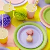 Pääsiäinen|Lautaset>PartyDeco sp. z o.o. sp. k., ul. Kolumba 1, 70-035 Szczecin, www.partydeco.com Pahvilautanen vaaleanvihreä, 23 cm 6 kpl/pkt