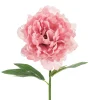 Ystävänpäivä|Muut Koristeet Ja Rekvisiitat>PartyDeco sp. z o.o. sp. k., ul. Kolumba 1, 70-035 Szczecin, www.partydeco.com Pioni 35 cm, pinkki