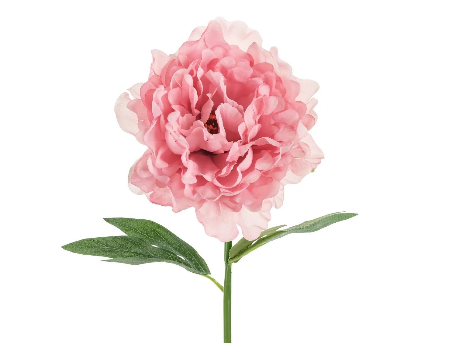 Ystävänpäivä|Muut Koristeet Ja Rekvisiitat>PartyDeco sp. z o.o. sp. k., ul. Kolumba 1, 70-035 Szczecin, www.partydeco.com Pioni 35 cm, pinkki