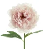Ystävänpäivä|Muut Koristeet Ja Rekvisiitat>PartyDeco sp. z o.o. sp. k., ul. Kolumba 1, 70-035 Szczecin, www.partydeco.com Pioni 35 cm, vaaleanpunainen