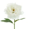 Ystävänpäivä|Muut Koristeet Ja Rekvisiitat>PartyDeco sp. z o.o. sp. k., ul. Kolumba 1, 70-035 Szczecin, www.partydeco.com Pioni 35 cm, valkoinen