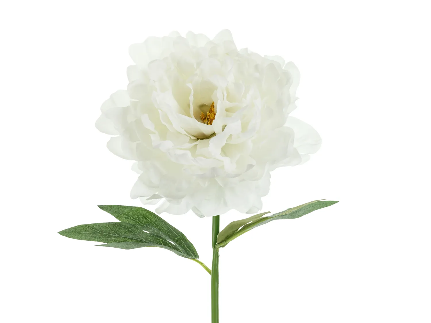 Ystävänpäivä|Muut Koristeet Ja Rekvisiitat>PartyDeco sp. z o.o. sp. k., ul. Kolumba 1, 70-035 Szczecin, www.partydeco.com Pioni 35 cm, valkoinen