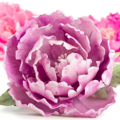 Leivontamuotit|Muut Juhlatarvikkeet><noscript><img width=