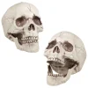 Halloween>Boland Party Partners, P. O. Box 518, AK ALPHEN A/D RIJN, https://boland.eu Pääkallo koriste liikkuvalla leualla 16x14x21 cm