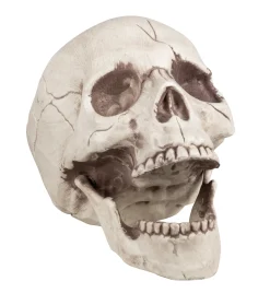 Halloween><noscript><img width=