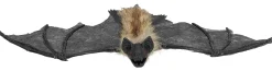 Ripustettavat Hahmot|Halloween>Boland Party Partners, P. O. Box 518, AK ALPHEN A/D RIJN, https://boland.eu Ripustettava lepakko 40 x 14 cm