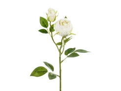 Ystävänpäivä|Muut Koristeet Ja Rekvisiitat>PartyDeco sp. z o.o. sp. k., ul. Kolumba 1, 70-035 Szczecin, www.partydeco.com Ruusu kahdella nupulla 55 cm, kermanvärinen