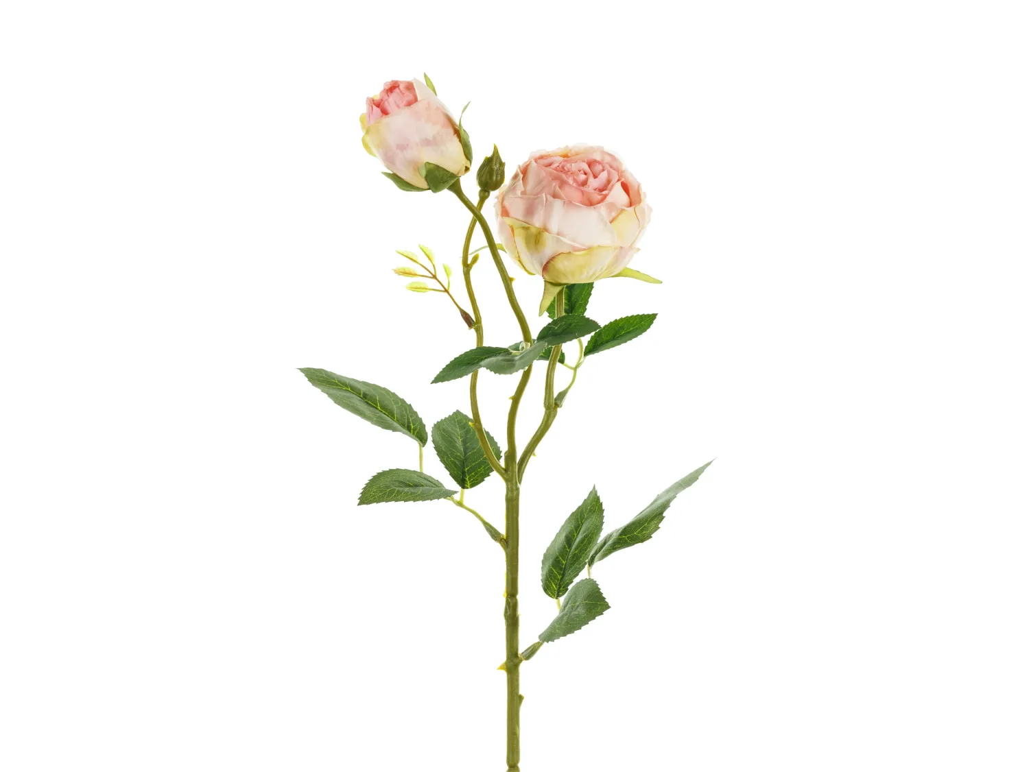 Ystävänpäivä|Muut Koristeet Ja Rekvisiitat>PartyDeco sp. z o.o. sp. k., ul. Kolumba 1, 70-035 Szczecin, www.partydeco.com Ruusu kahdella nupulla 55 cm, vaaleanpunainen