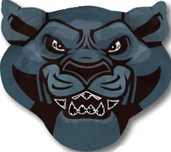 Muotofoliopallot>Anagram International Inc, 7700 Anagram Drive, MN 55344-7307, USA, http://www.anagramballoons.com/ Team Panthers muotofoliopallo