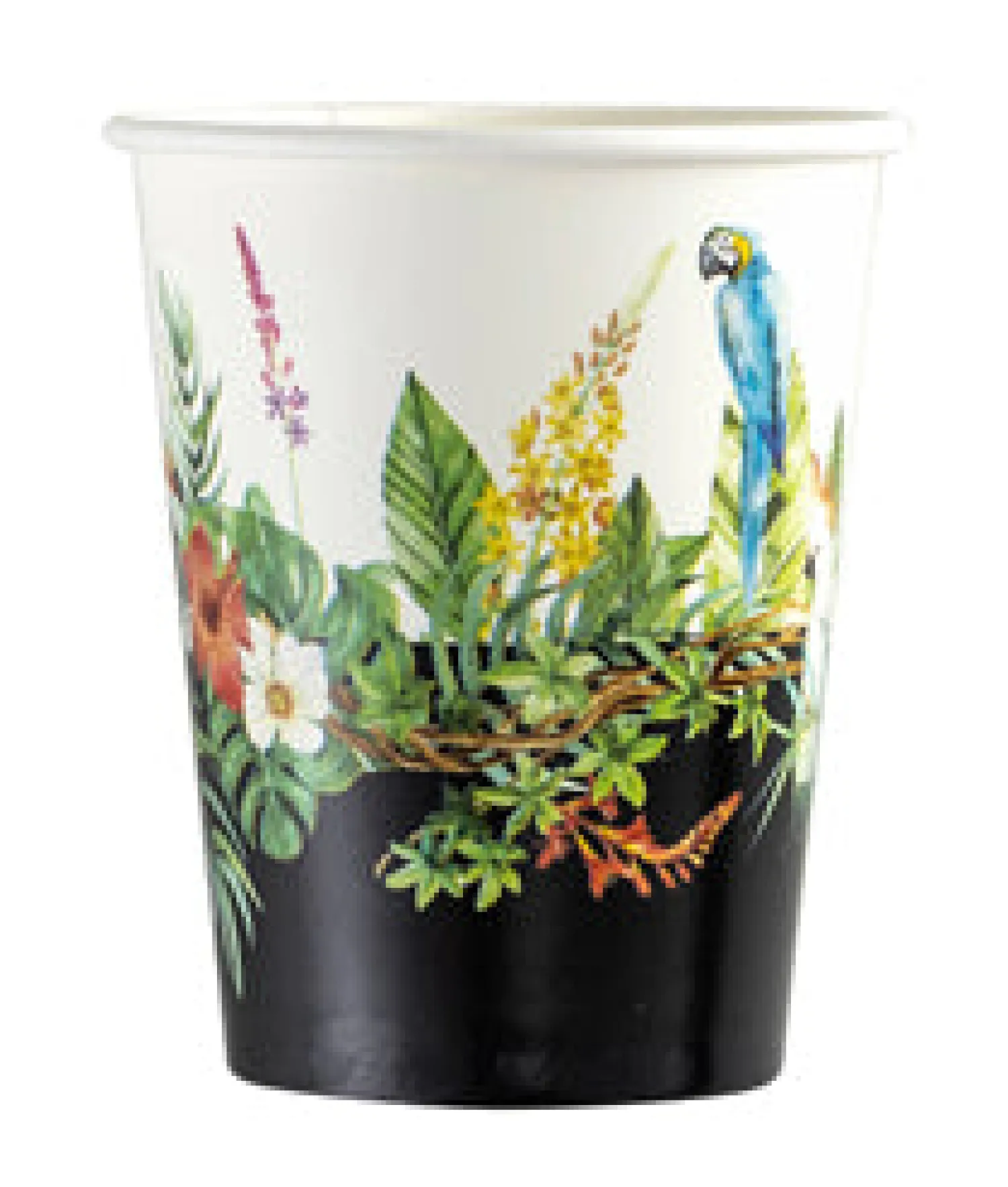 Häät|Häät>Givi Italia S.r.l, Via Ennio de Monte 117r, 16014 ISOVERDE, www.giviitalia.com Tropiikki pahvimuki 250 ml 8 kpl/pkt